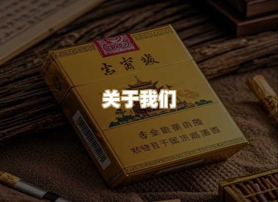 关于蓝帝网